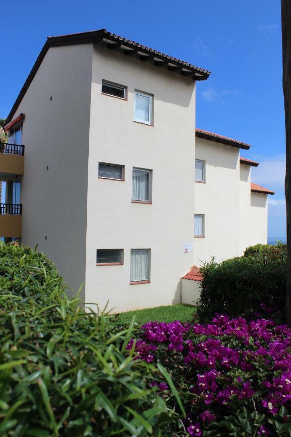 Holidaynorthtenerife Exotic Apartament Los Realejos Eksteriør bilde