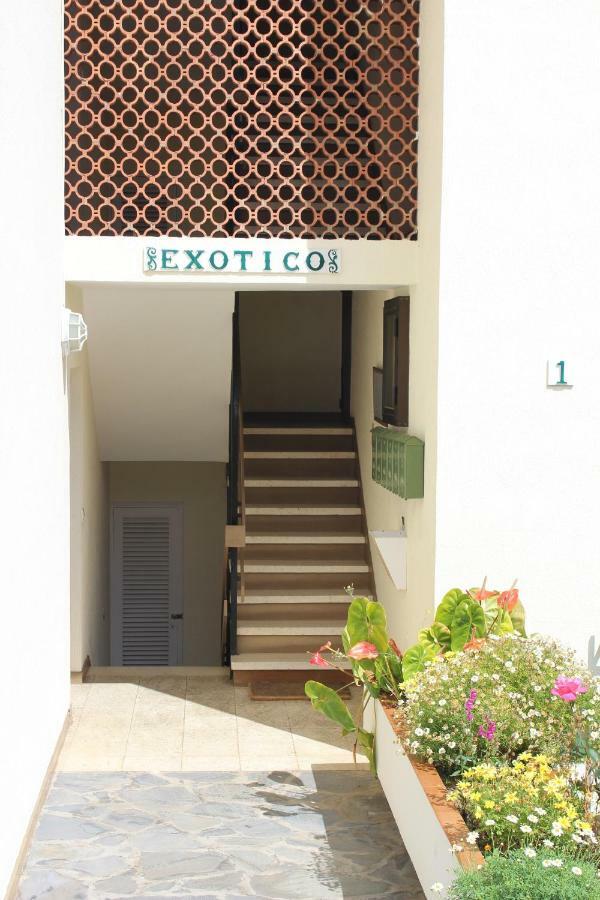 Holidaynorthtenerife Exotic Apartament Los Realejos Eksteriør bilde