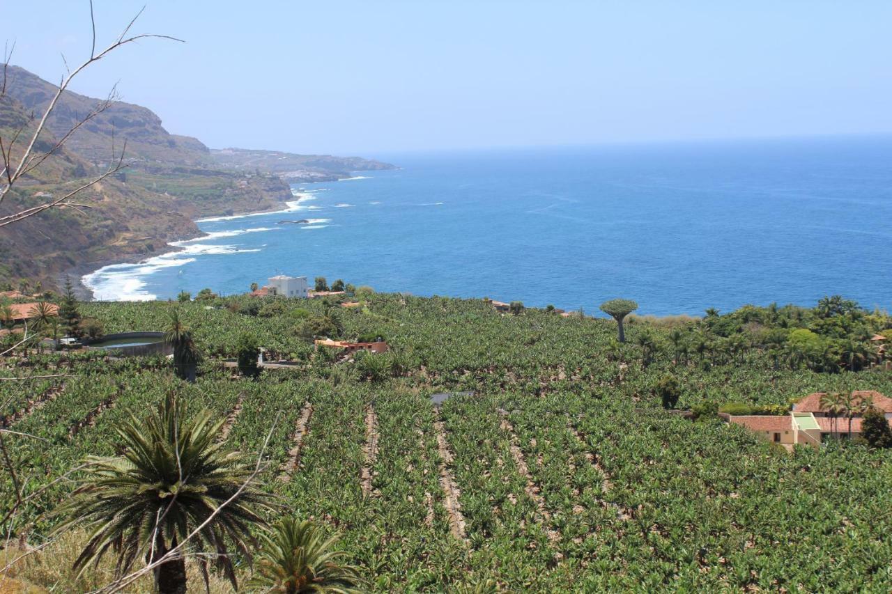 Holidaynorthtenerife Exotic Apartament Los Realejos Eksteriør bilde