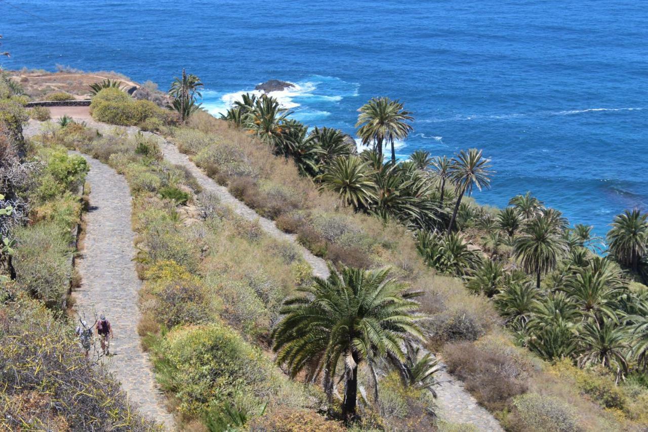 Holidaynorthtenerife Exotic Apartament Los Realejos Eksteriør bilde
